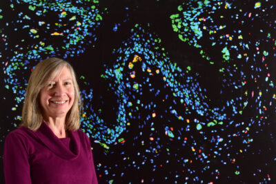 A researcher stood in front of a large image of her work