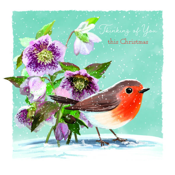 YAC3: Hellebore Robin